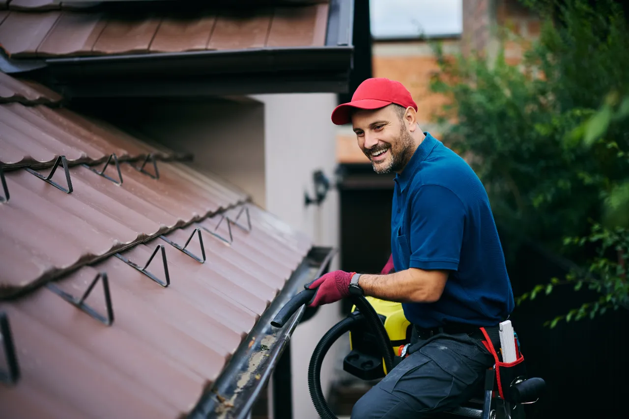Gutter Cleaning
