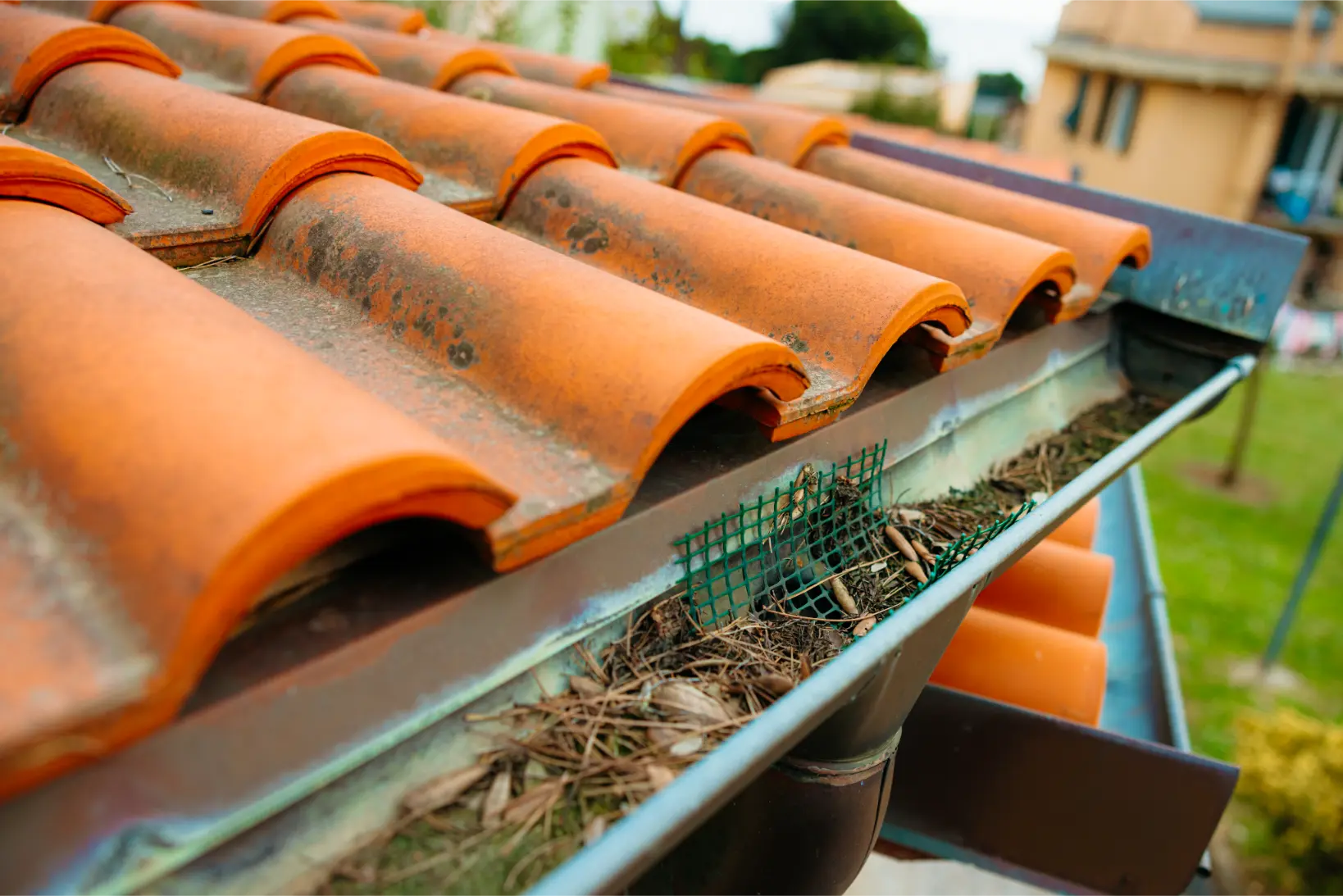 What Happens When You Ignore Clogged Gutters?